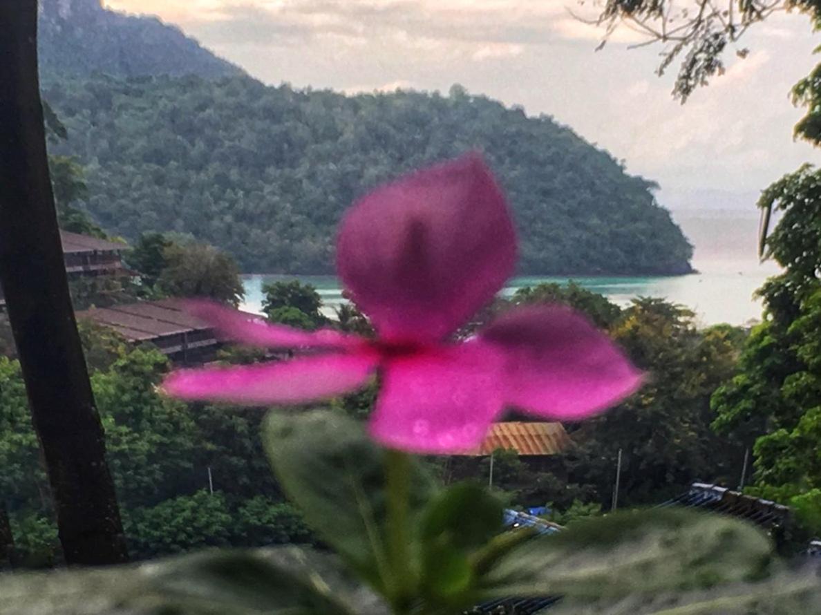 Phi Phi Sea And Hill Resort Экстерьер фото